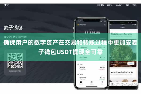 确保用户的数字资产在交易和转账过程中更加安麦子钱包USDT提现全可靠