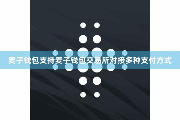 麦子钱包支持麦子钱包交易所对接多种支付方式