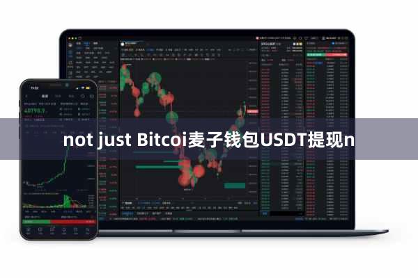 not just Bitcoi麦子钱包USDT提现n