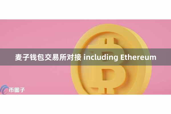 麦子钱包交易所对接 including Ethereum
