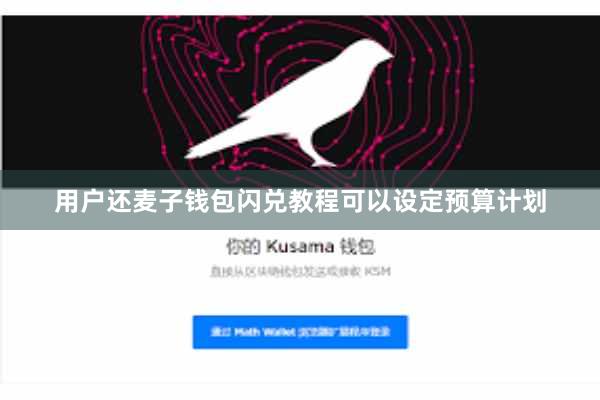 用户还麦子钱包闪兑教程可以设定预算计划