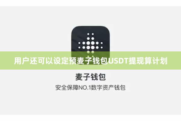 用户还可以设定预麦子钱包USDT提现算计划