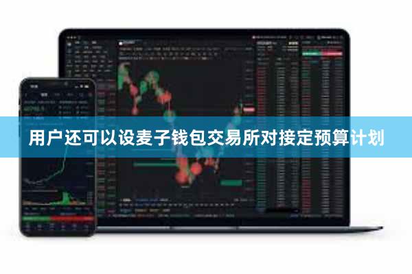 用户还可以设麦子钱包交易所对接定预算计划