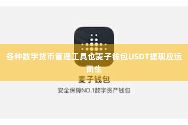 各种数字货币管理工具也麦子钱包USDT提现应运而生