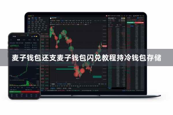 麦子钱包还支麦子钱包闪兑教程持冷钱包存储