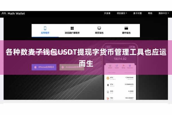 各种数麦子钱包USDT提现字货币管理工具也应运而生