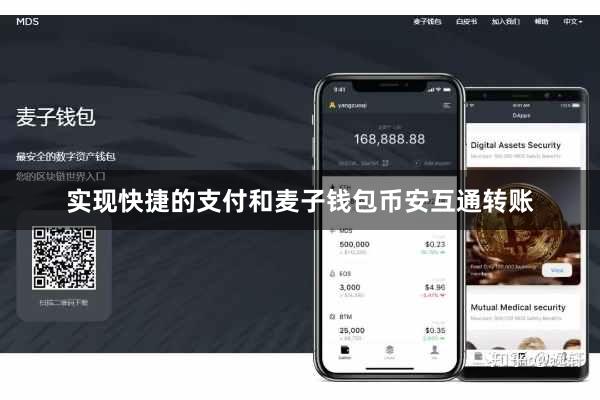 实现快捷的支付和麦子钱包币安互通转账