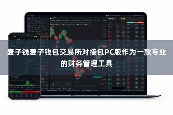 麦子钱麦子钱包交易所对接包PC版作为一款专业的财务管理工具