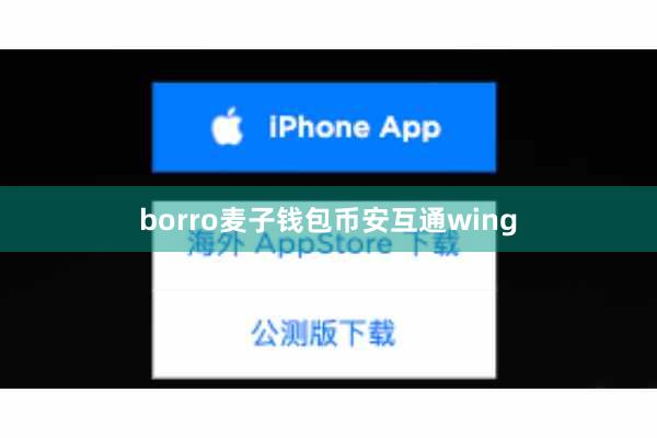 borro麦子钱包币安互通wing