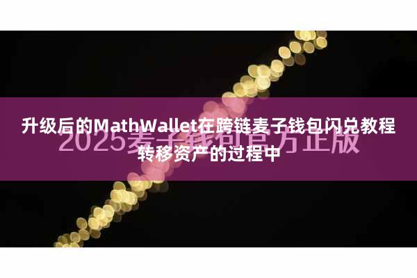 升级后的MathWallet在跨链麦子钱包闪兑教程转移资产的过程中