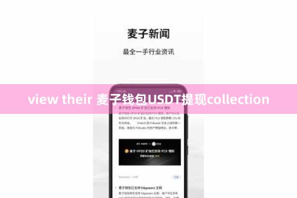 view their 麦子钱包USDT提现collection