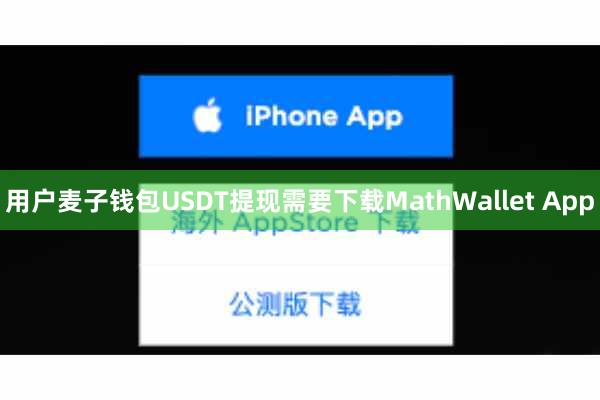 用户麦子钱包USDT提现需要下载MathWallet App
