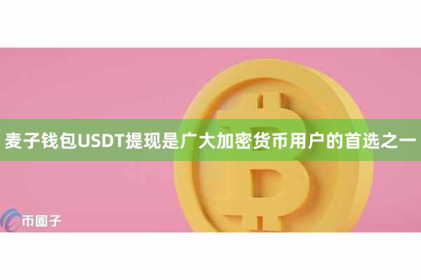 麦子钱包USDT提现是广大加密货币用户的首选之一