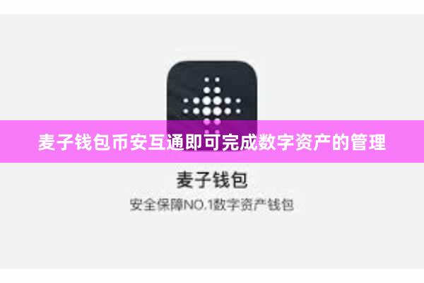 麦子钱包币安互通即可完成数字资产的管理