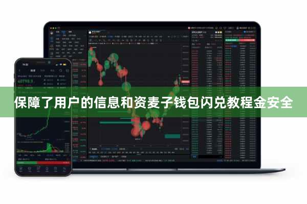 保障了用户的信息和资麦子钱包闪兑教程金安全