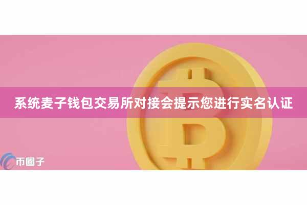 系统麦子钱包交易所对接会提示您进行实名认证