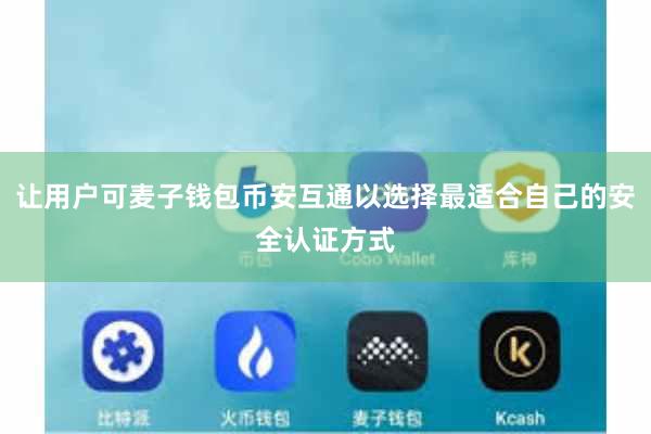让用户可麦子钱包币安互通以选择最适合自己的安全认证方式