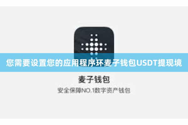 您需要设置您的应用程序环麦子钱包USDT提现境