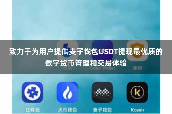致力于为用户提供麦子钱包USDT提现最优质的数字货币管理和交易体验